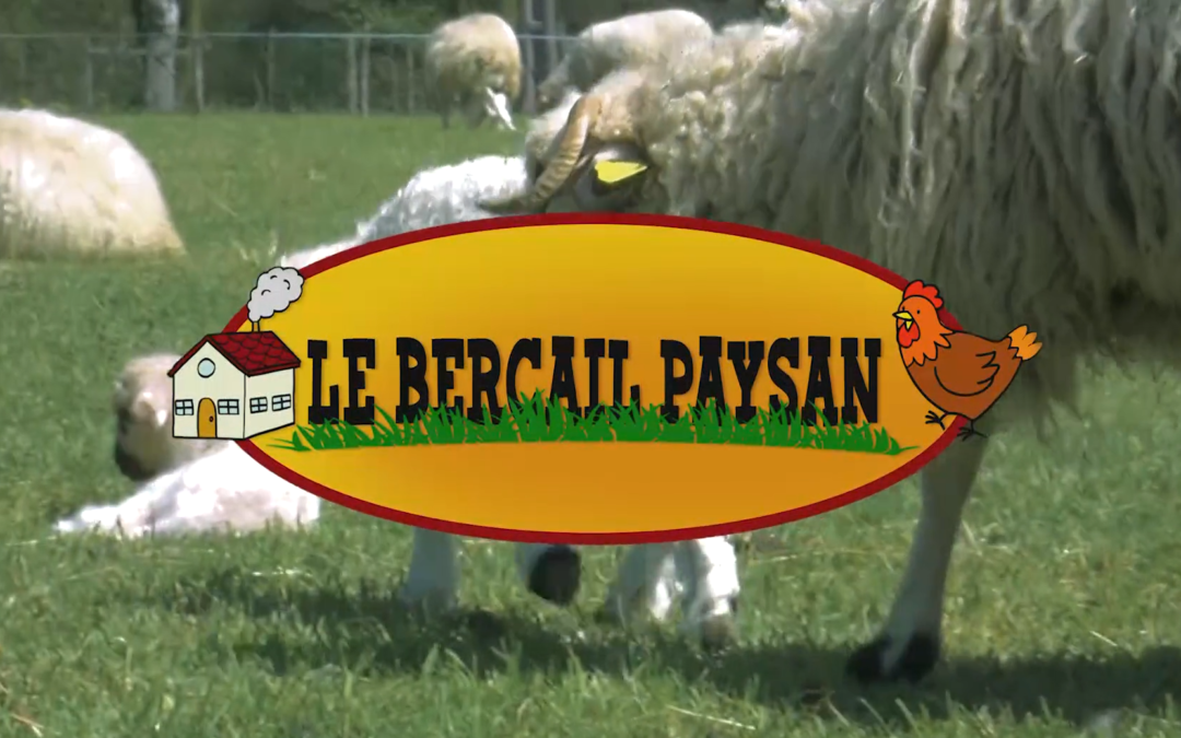 Le Bercail Paysan s’associe à l’association Sainte Agnès !