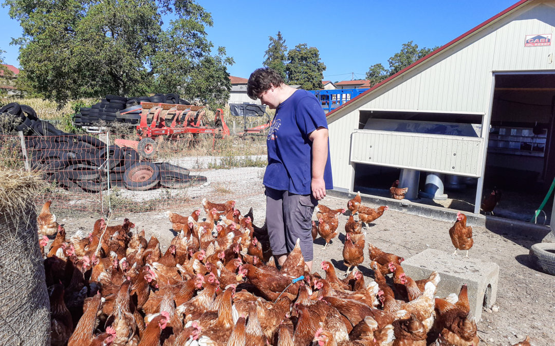 Service d’Accueil de Jour à la ferme