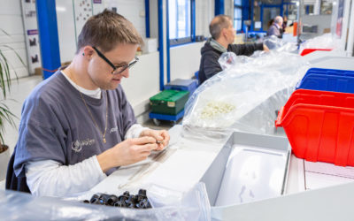 Duo 2 : une journée pour changer de regard sur le handicap